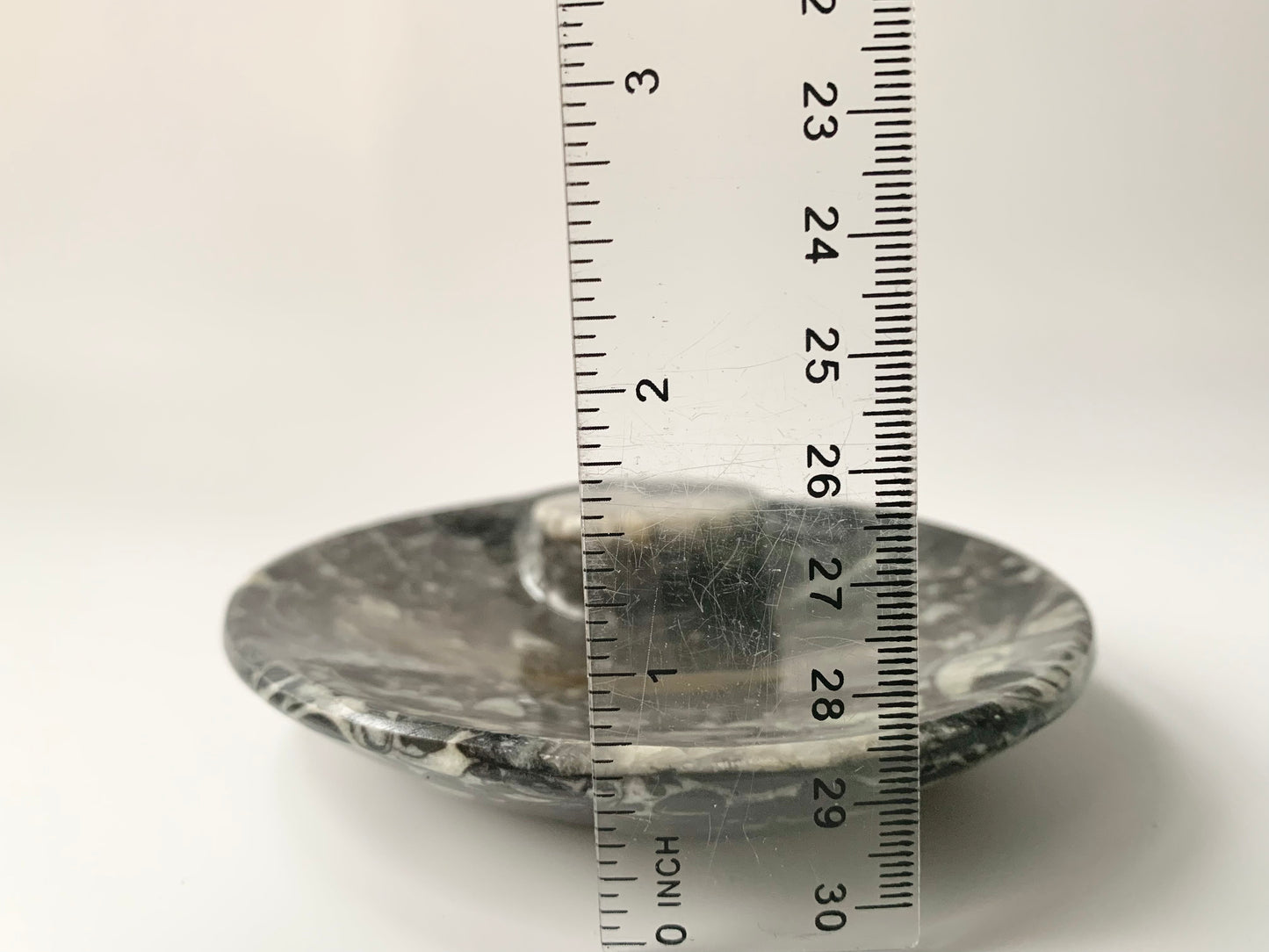 Goniatite Fossil Dish, 3.5-4"