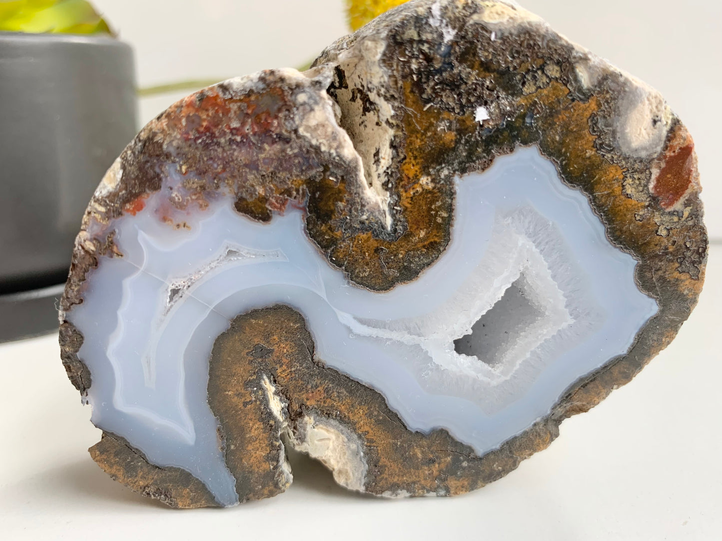 Coconut Geode, Cut and Polished