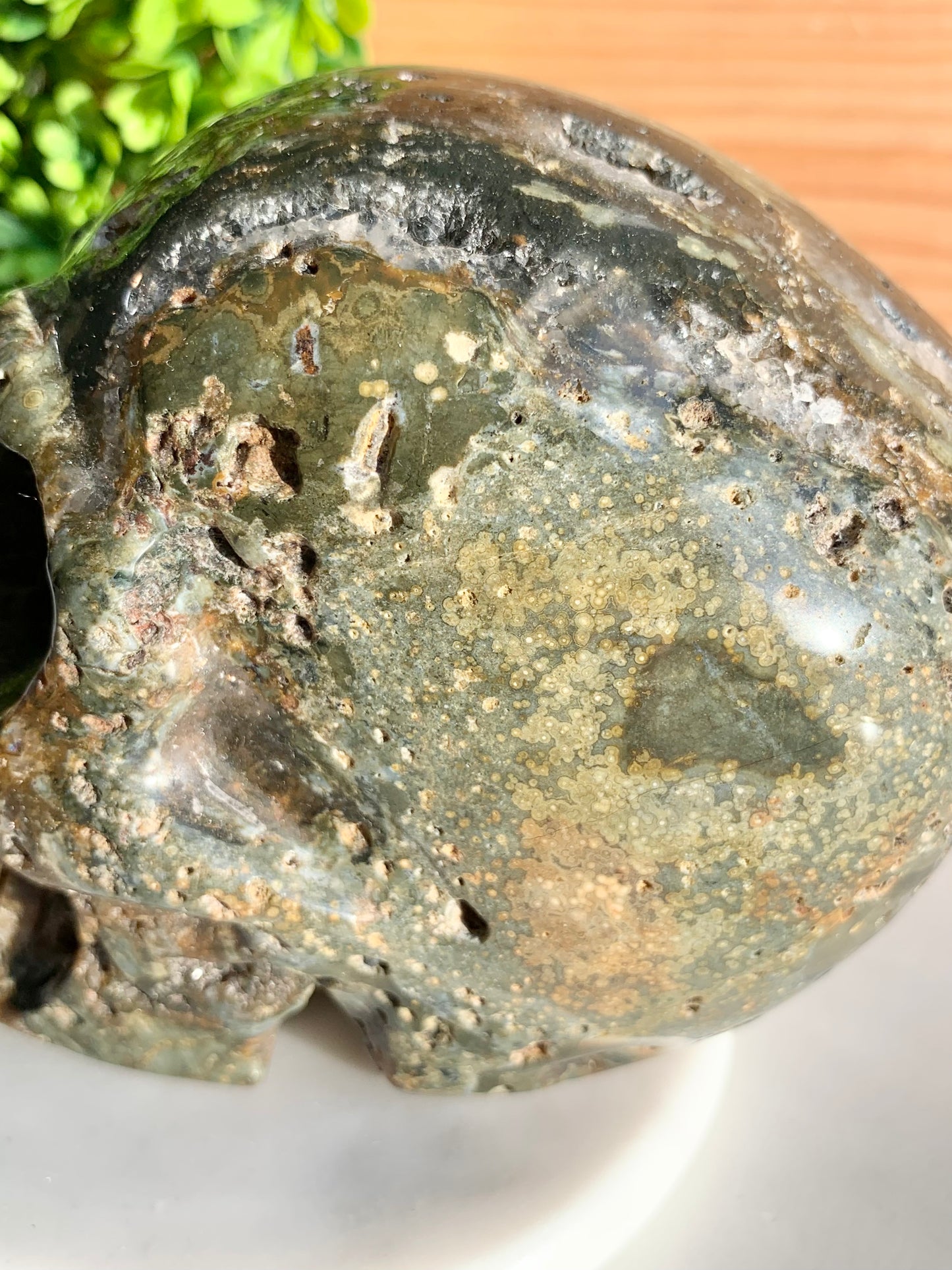 Ocean Jasper Skull