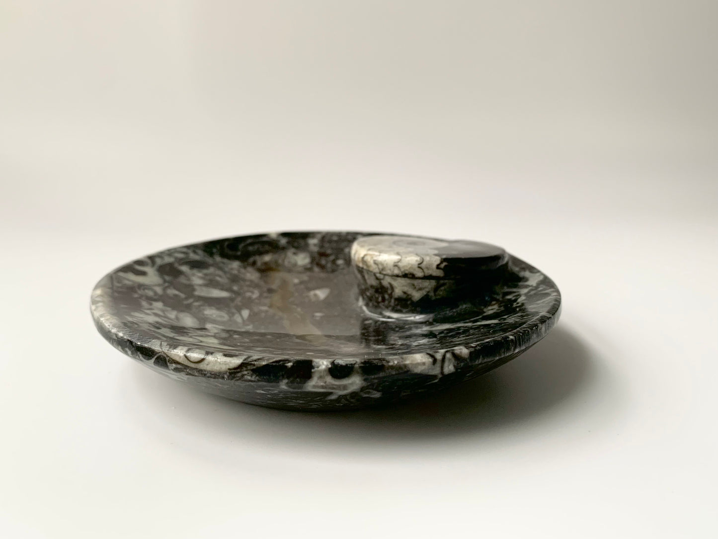 Goniatite Fossil Dish, 3.5-4"